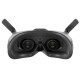 FPV видео-очки DJI Goggles 2