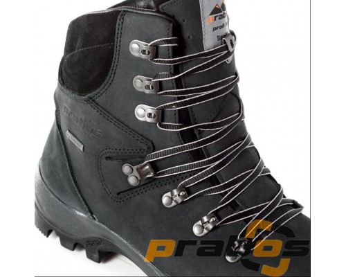 Ботинки ANNAPURNA GTX Черный